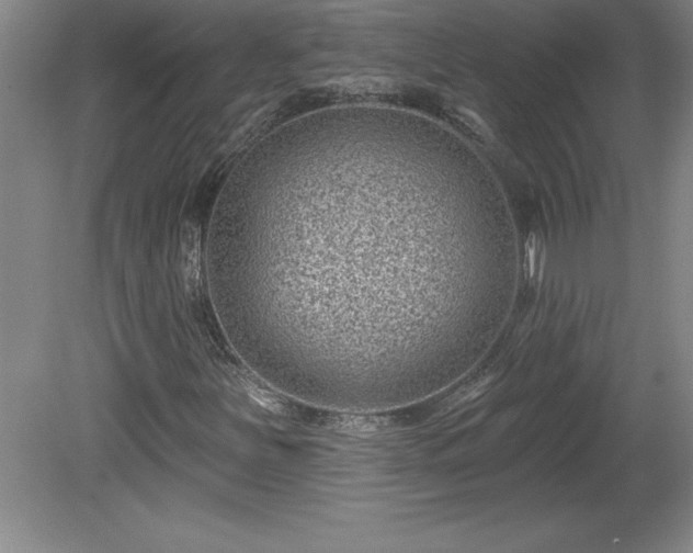 X0000081561251200701221018