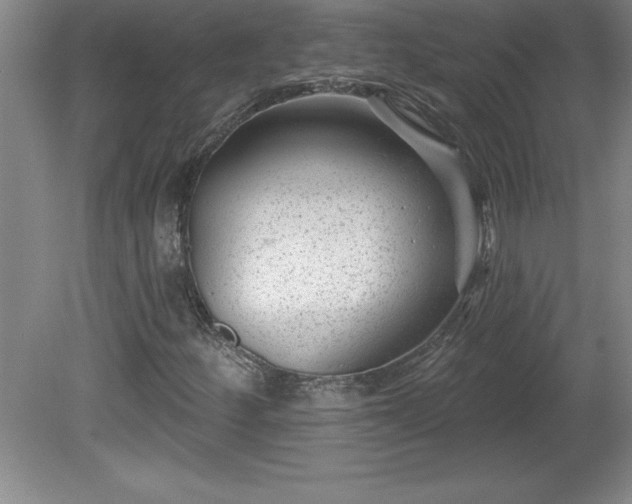 X0000081561252200701221018