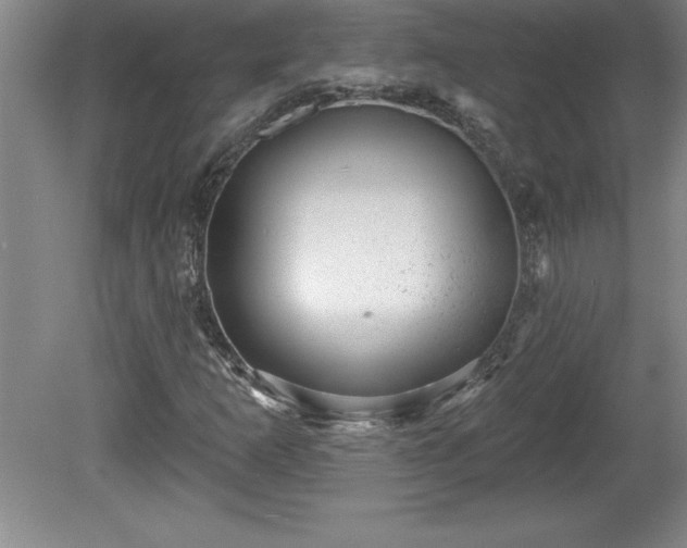 X0000081561253200701221018