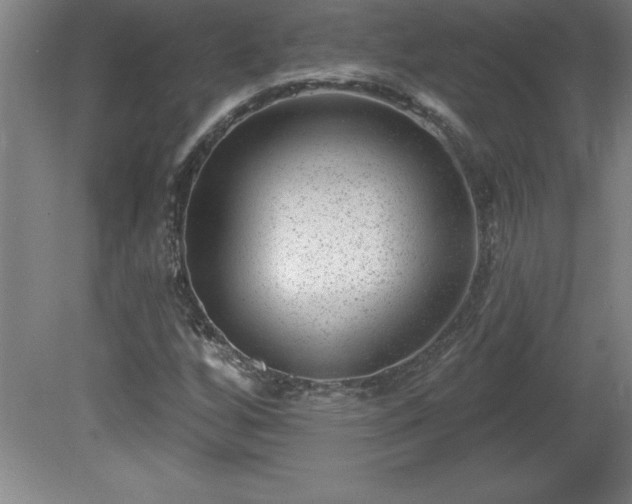 X0000081561256200701221018