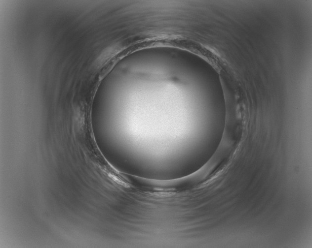 X0000081561257200701221018
