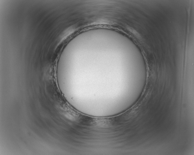 X0000081561258200701221018
