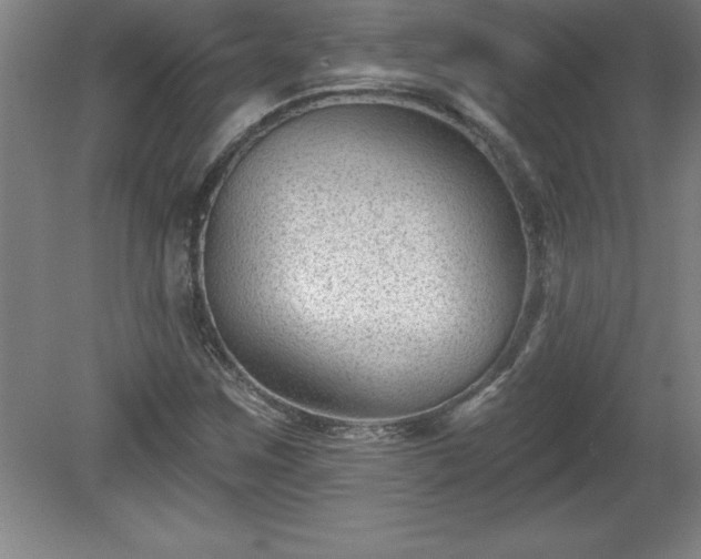 X0000081561259200701221018