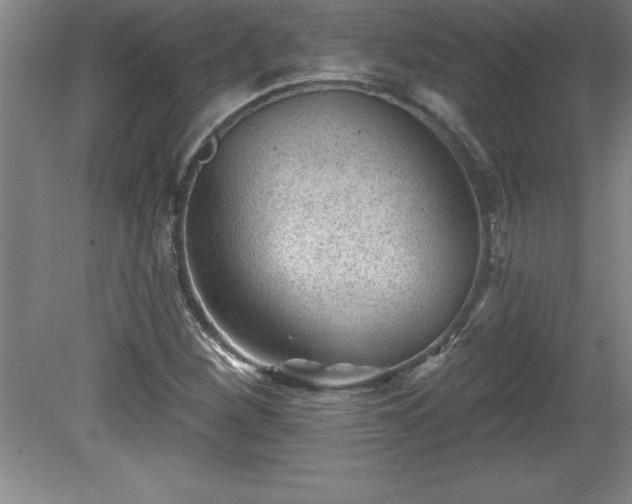 X0000081561260200701221018