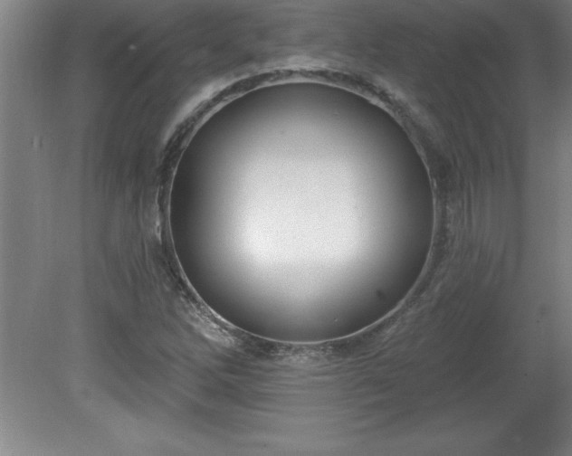 X0000081561262200701221018