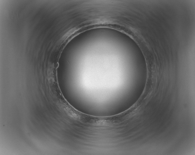 X0000081561265200701221018