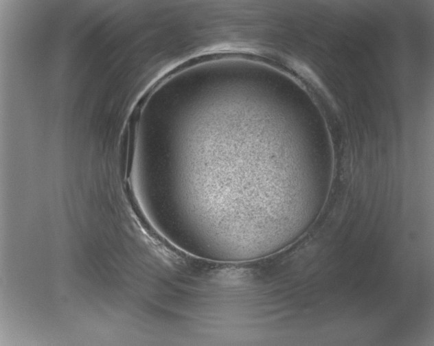 X0000081561268200701221017