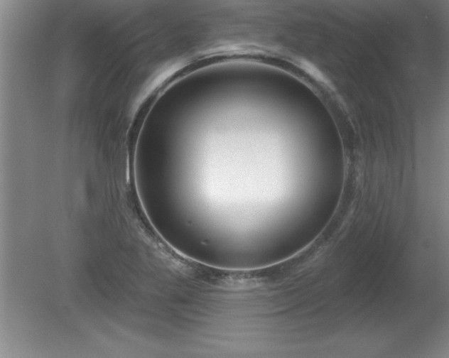 X0000081561269200701221017