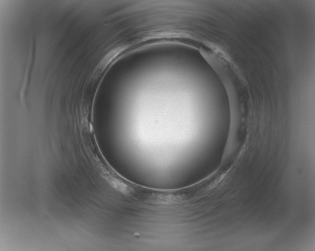 X0000081561273200701221017