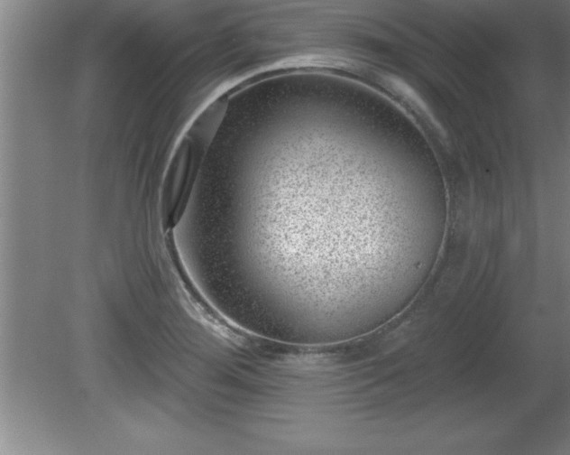 X0000081561276200701221017