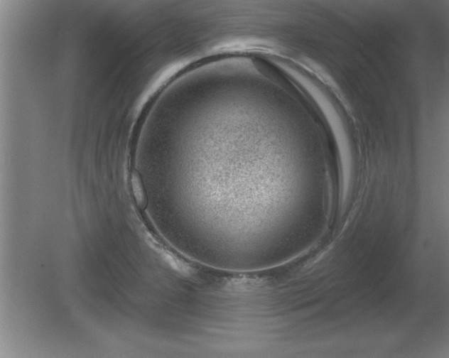 X0000081561277200701221017