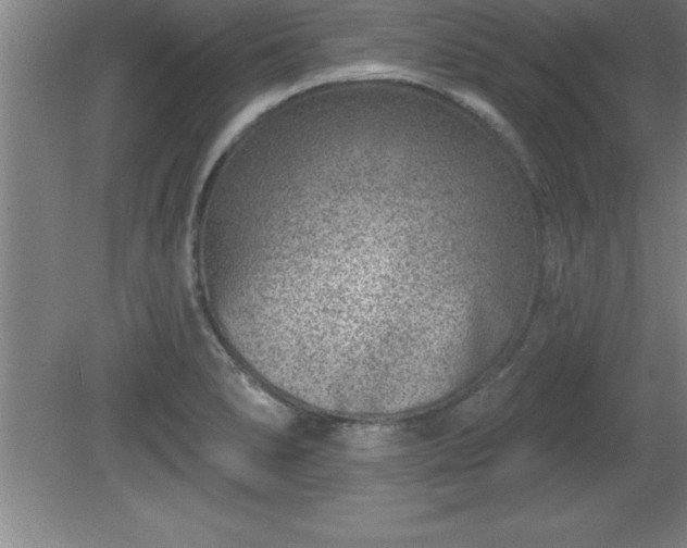 X0000081561278200701221017
