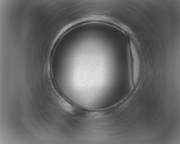 X0000081561280200701221017