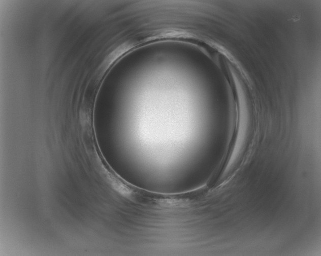 X0000081561281200701221017