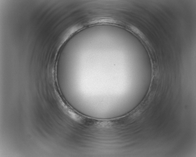 X0000081561282200701221017