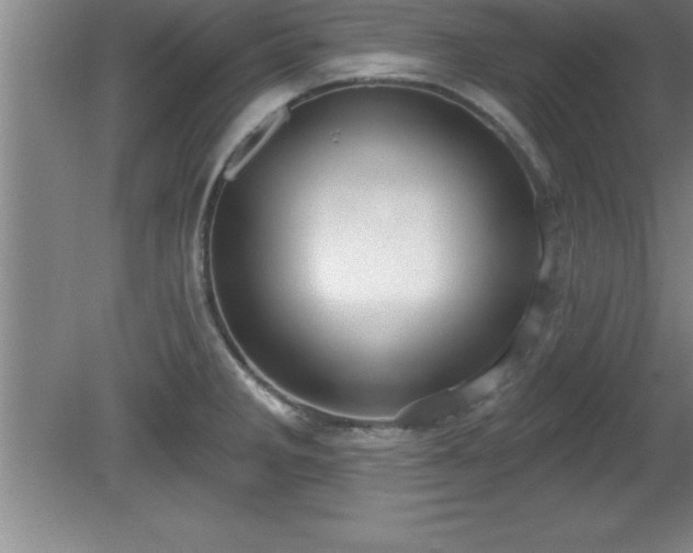 X0000081561285200701221017