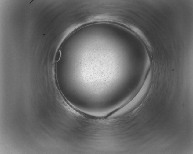 X0000081561288200701221017
