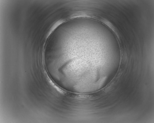 X0000081561290200701221017