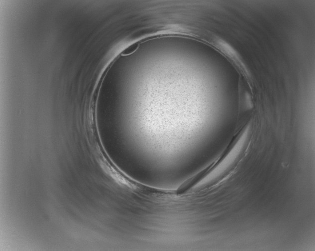 X0000081561292200701221017