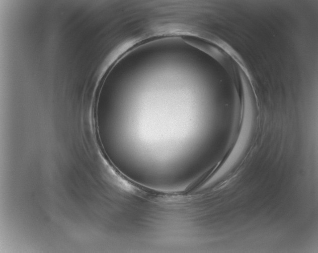 X0000081561293200701221017