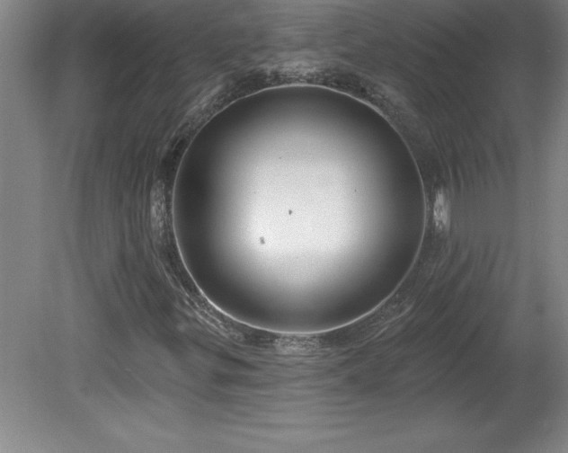 X0000081561299200701221016