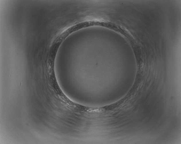 X0000081561303200701221016