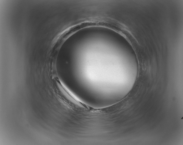 X0000081561304200701221016