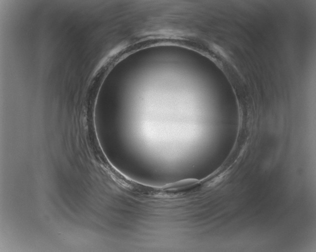 X0000081561307200701221016