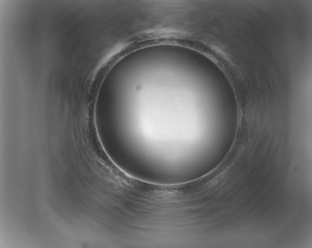 X0000081561309200701221016