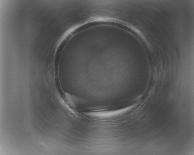 X0000081561319200701221017