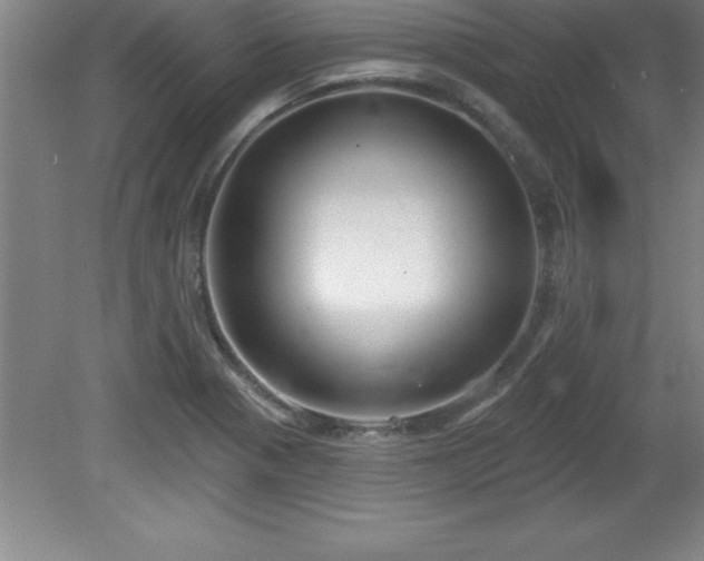 X0000081561321200701221017