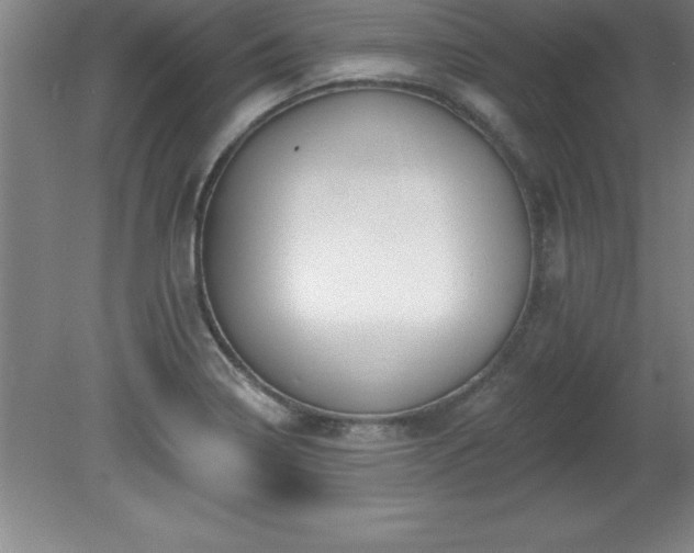 X0000081561322200701221017