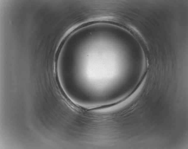 X0000081561324200701221017