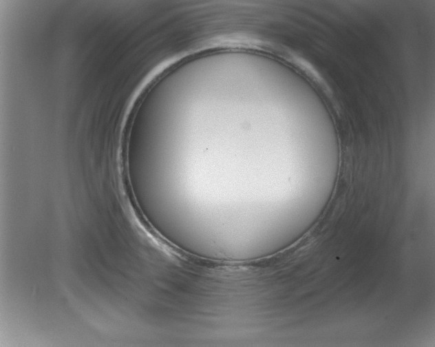 X0000081561331200701221017