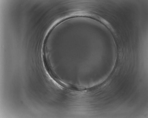 X0000081561334200701221017