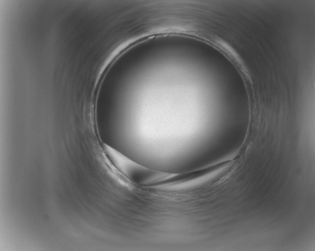 X0000081561340200701221017