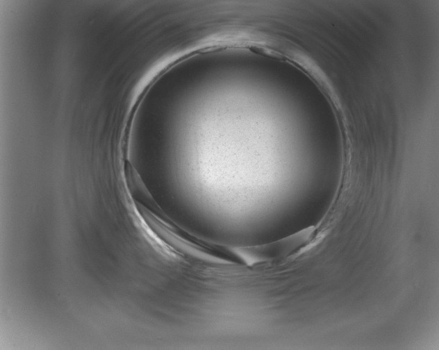 X0000081561344200701221017