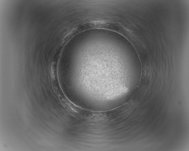 X0000081561346200701221016