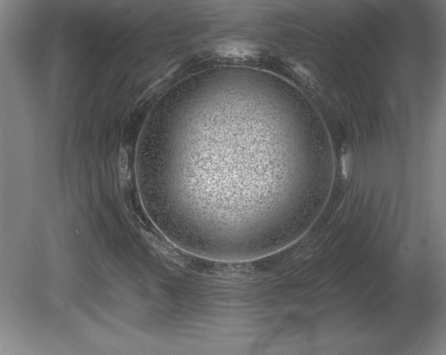 X0000081561347200701221016