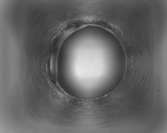 X0000081561349200701221016