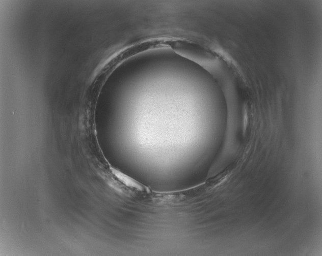X0000081561352200701221016