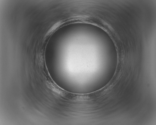 X0000081561354200701221016