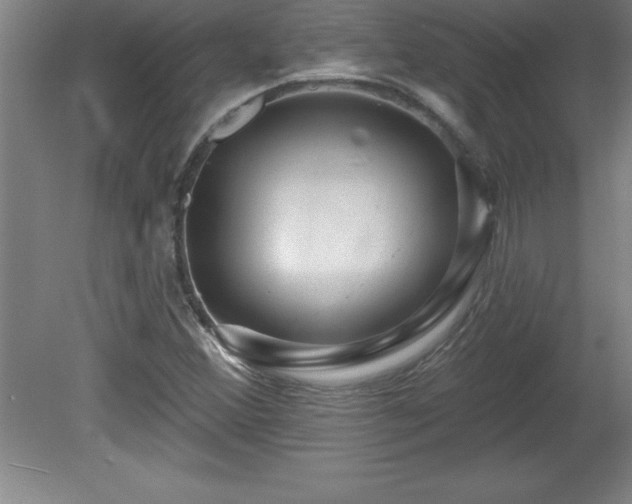 X0000081561356200701221016