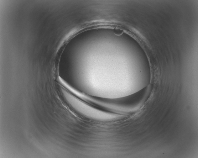 X0000081561357200701221016