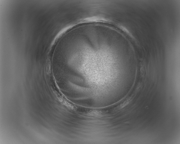 X0000081561358200701221016