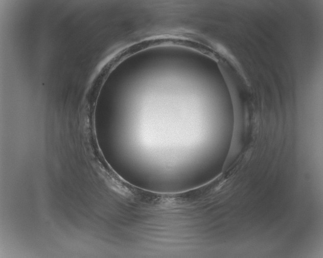 X0000081561360200701221016