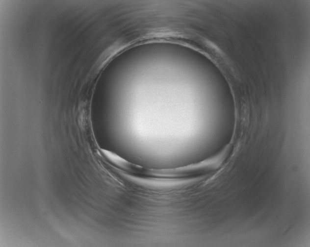 X0000081561361200701221016