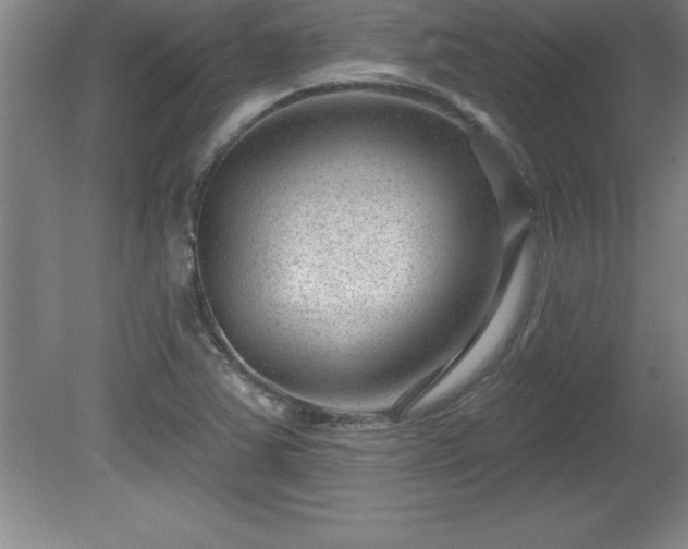 X0000081561363200701221016