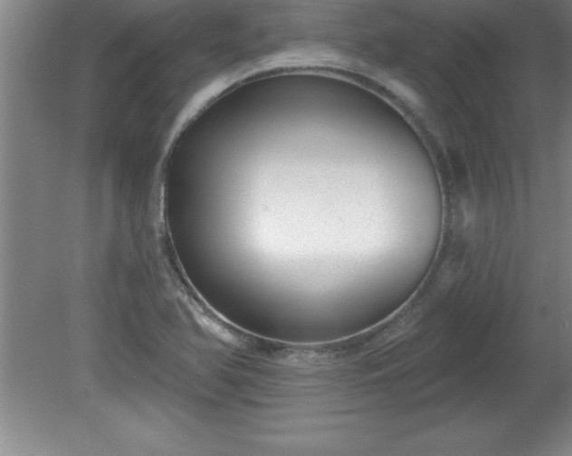 X0000081561366200701221016