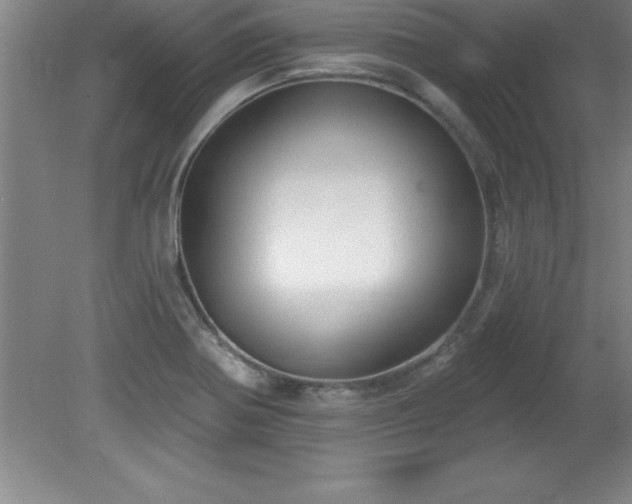 X0000081561370200701221016